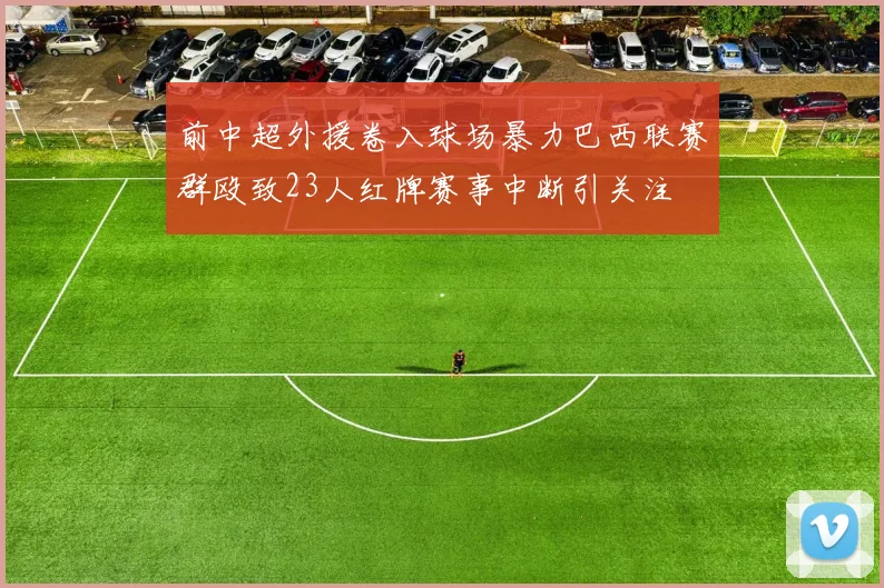 前中超外援卷入球场暴力巴西联赛群殴致23人红牌赛事中断引关注