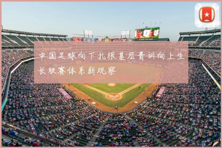 中国足球向下扎根基层青训向上生长联赛体系新观察