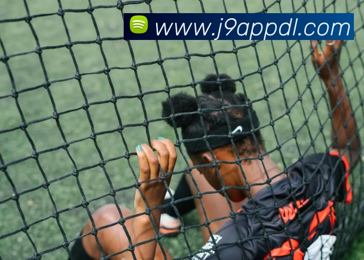 J9九游会发展历程