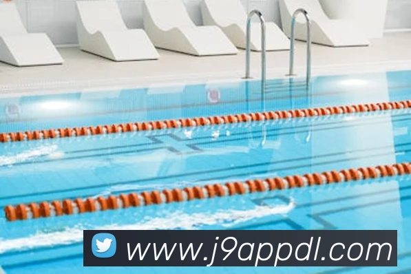 App Interface Preview