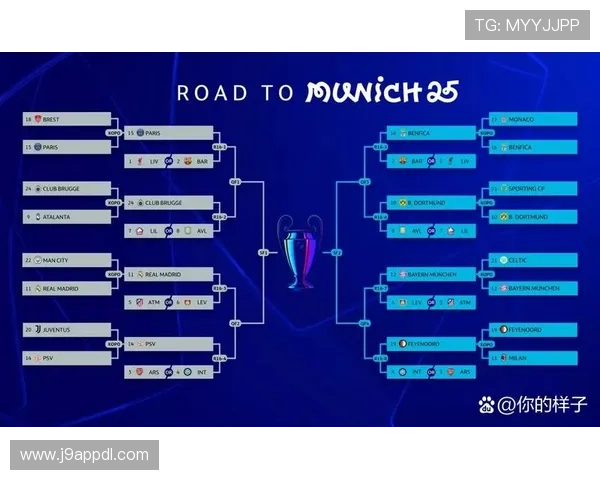 德甲球队球员名单公开，2025赛季阵容详解